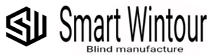 SmartWintour